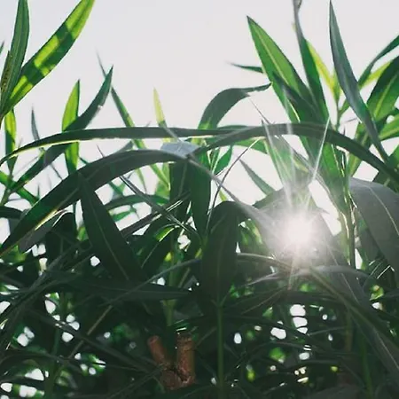 Apartamento Erzen 140 Medulin