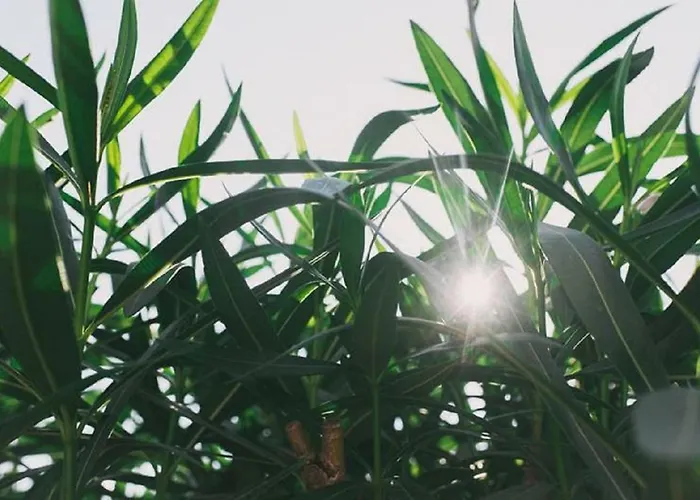 Apartament Erzen 140 Medulin